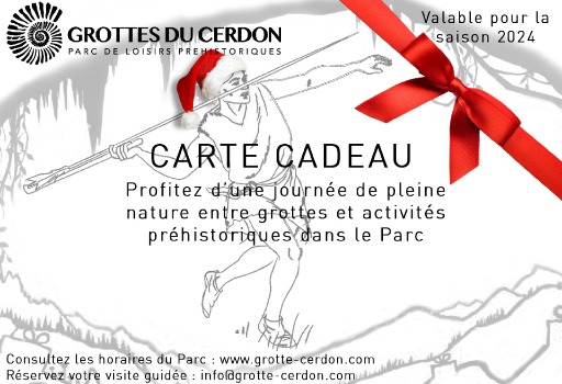 carte-cadeau-billet-non-date