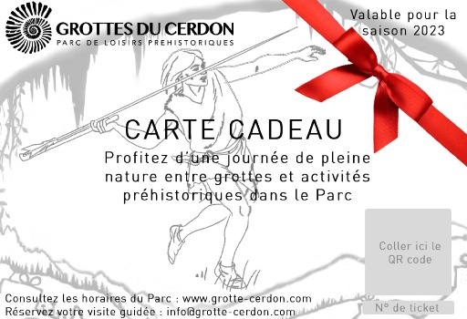 carte-cadeau-billet-non-date