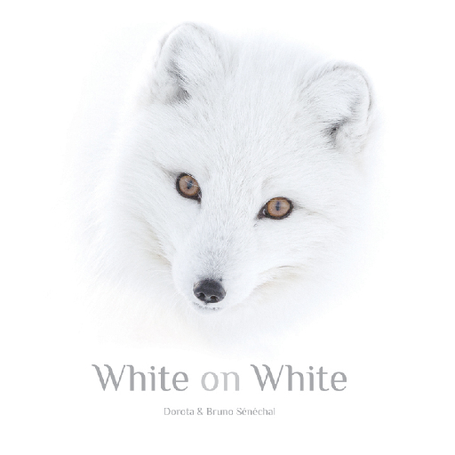 white-on-white-exposition-photos-13-au-15-aout-2024