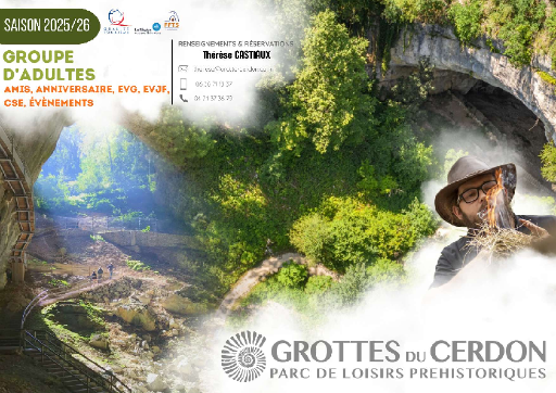 brochure-famille-groupe-d-adultes-amis-anniversaire
