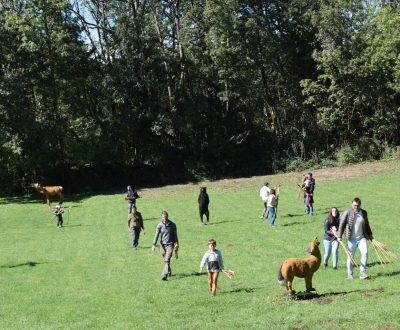 Con Familiares o Amigos