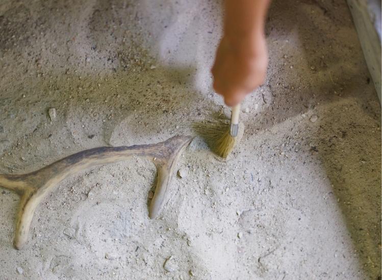 main enfant atelier fouilles archéologiques grottes du cerdon parc de loisirs préhistoriques