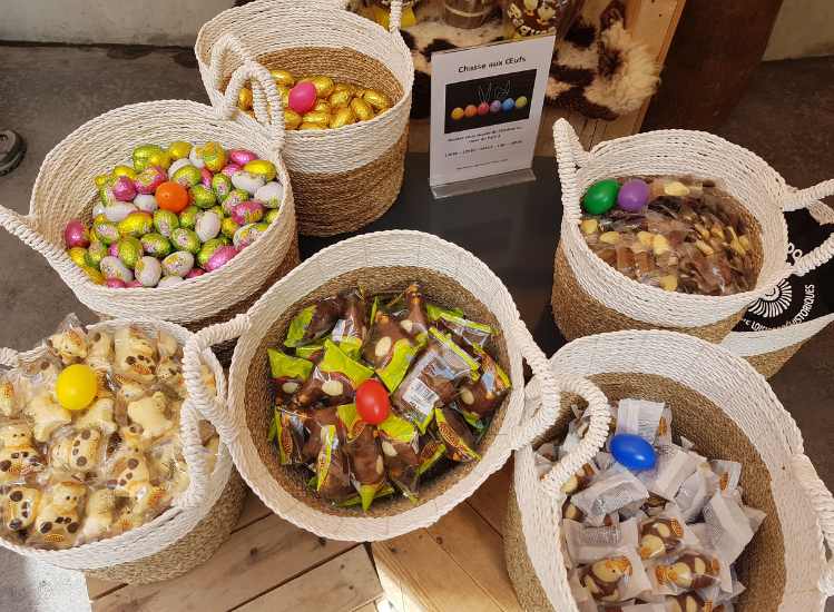Chasse aux œufs dans le parc