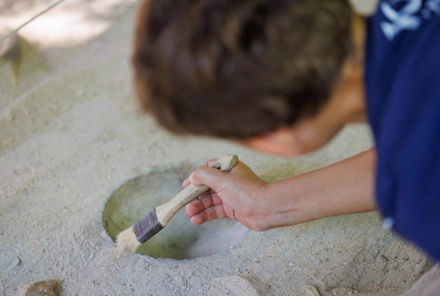 Activité Fouille archéologique aux Grottes du Cerdon