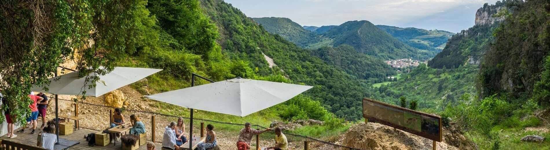 Vineyards and Discovery Weekend