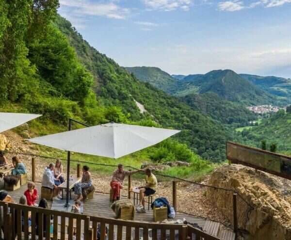 Vineyards and Discovery Weekend