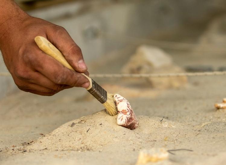 découverte d'un objet sur plan de fouille