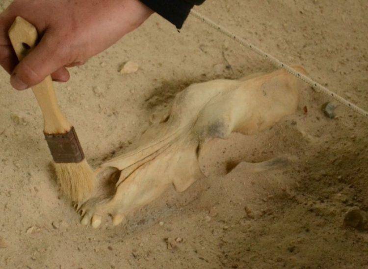 child's hand archaeological excavations Cerdon caves