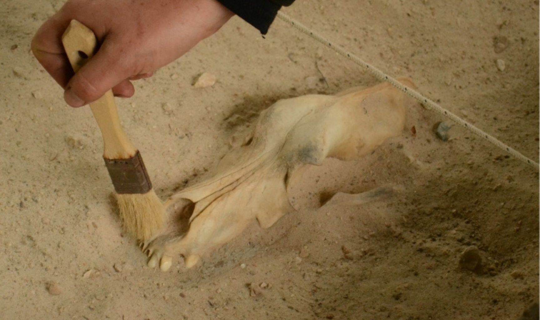 child's hand archaeological excavations Cerdon caves