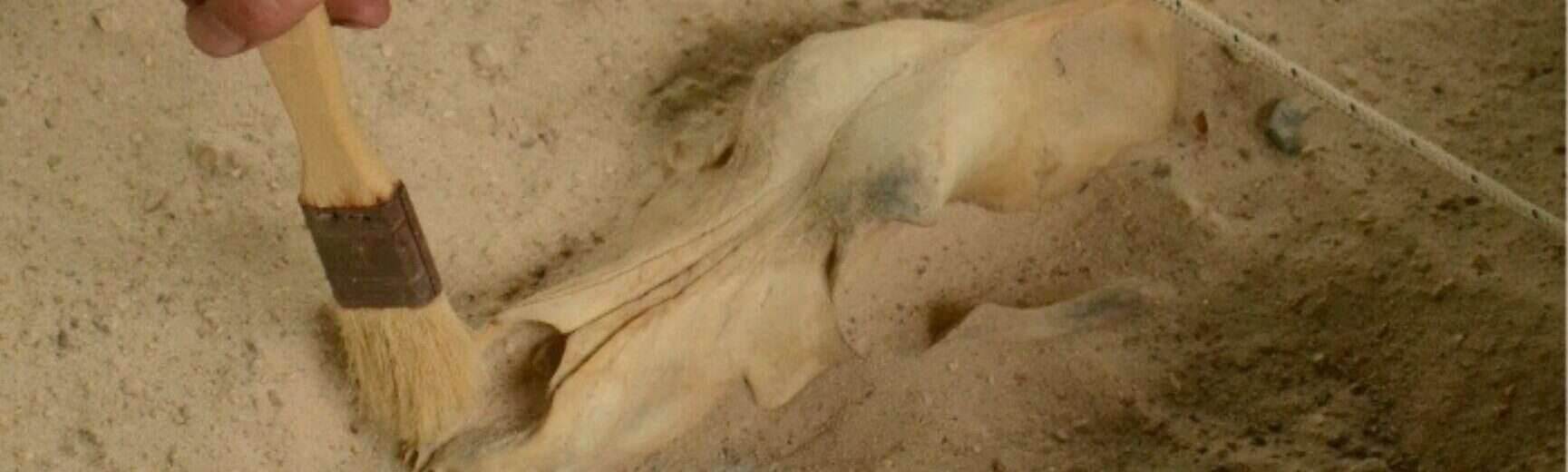 Fouilles archéologiques