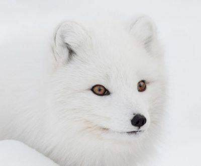 De un continente a otro – Exposición fotográfica