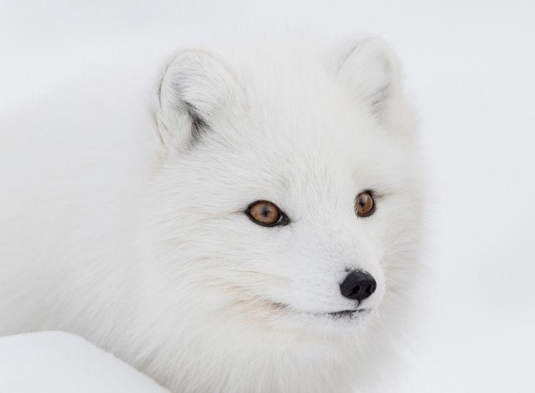 De un continente a otro – Exposición fotográfica