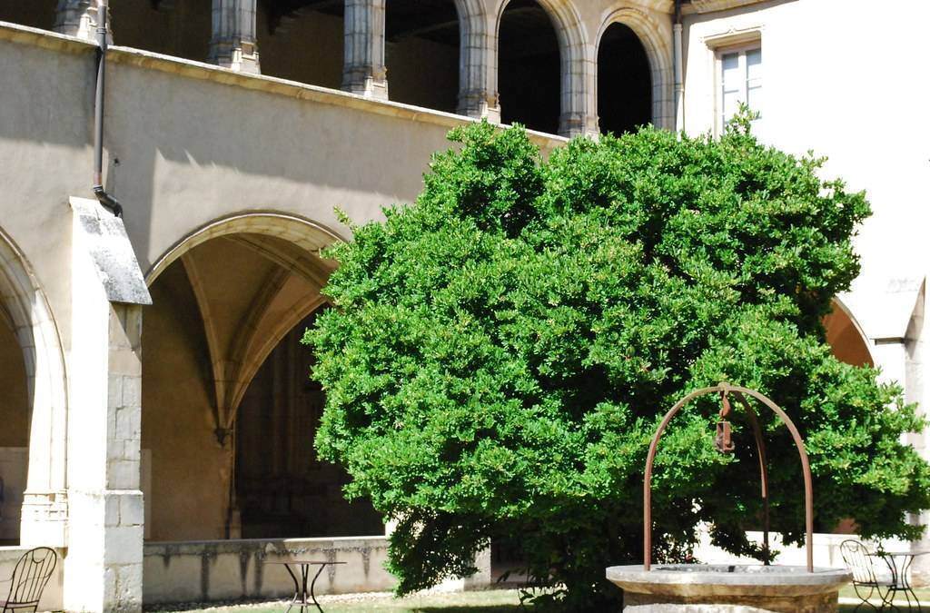 Brou Interior Monastery