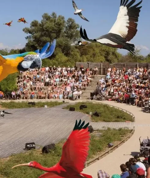 Parc des oiseaux de Villars les Dombes