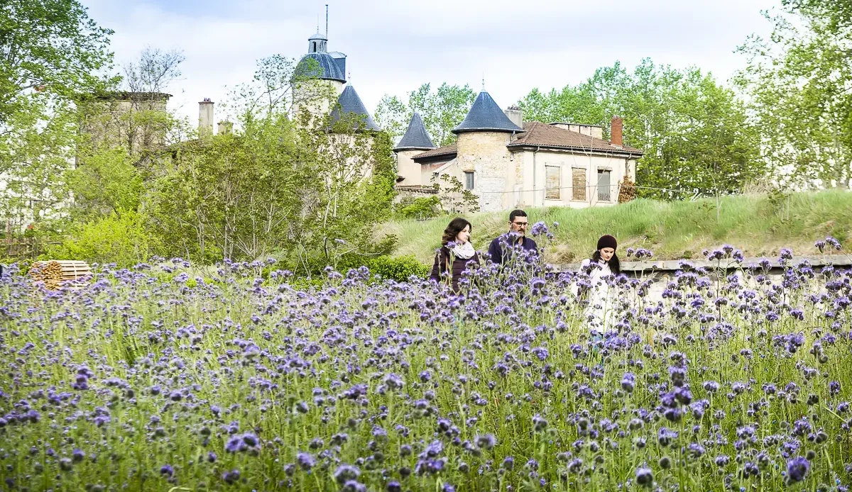 Parc vers Lyon et le Rhône