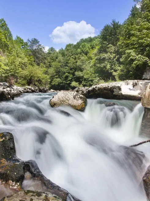 Les Pertes de la Valserine