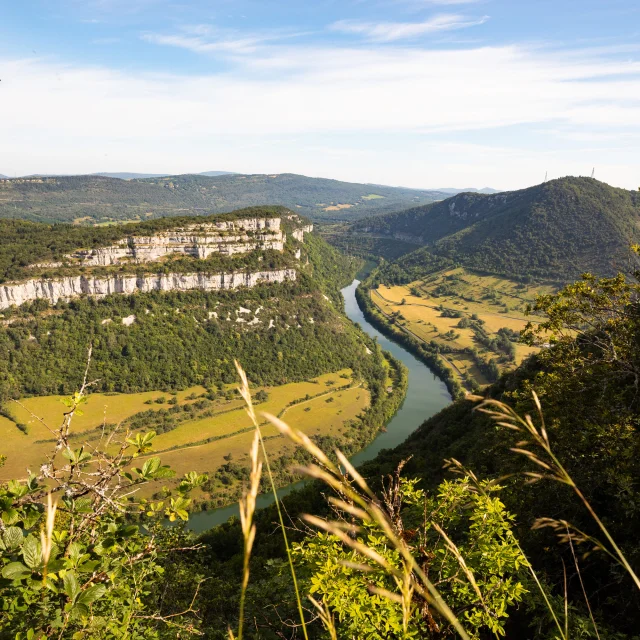 La rivière d&rsquo;Ain