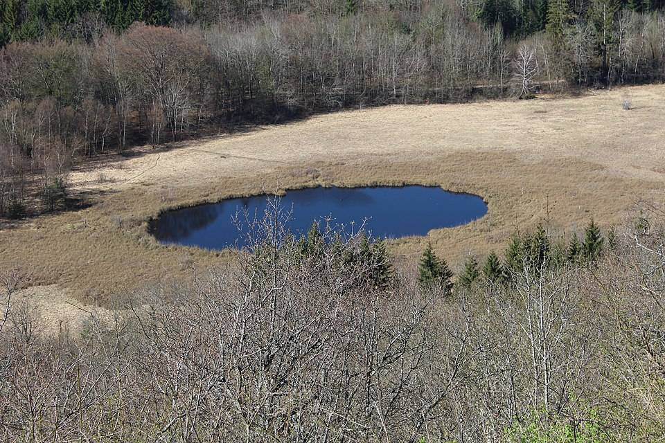 peat bog cerin marsamp bugey