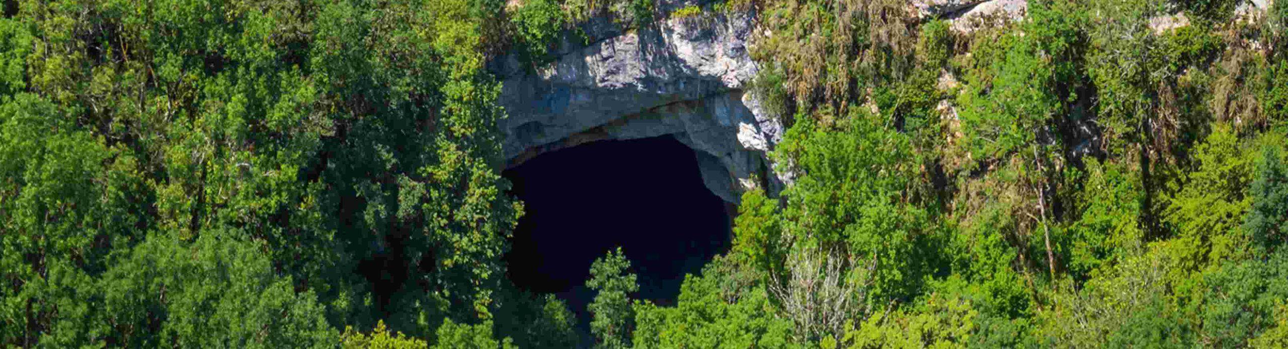 Centros, asociaciones, C.S.E.