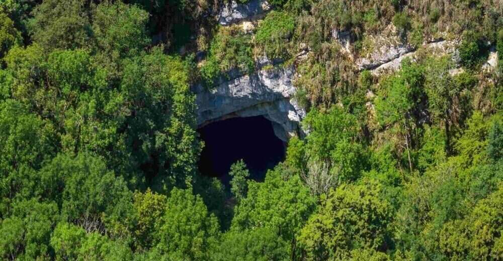 Centra, verenigingen, C.S.E